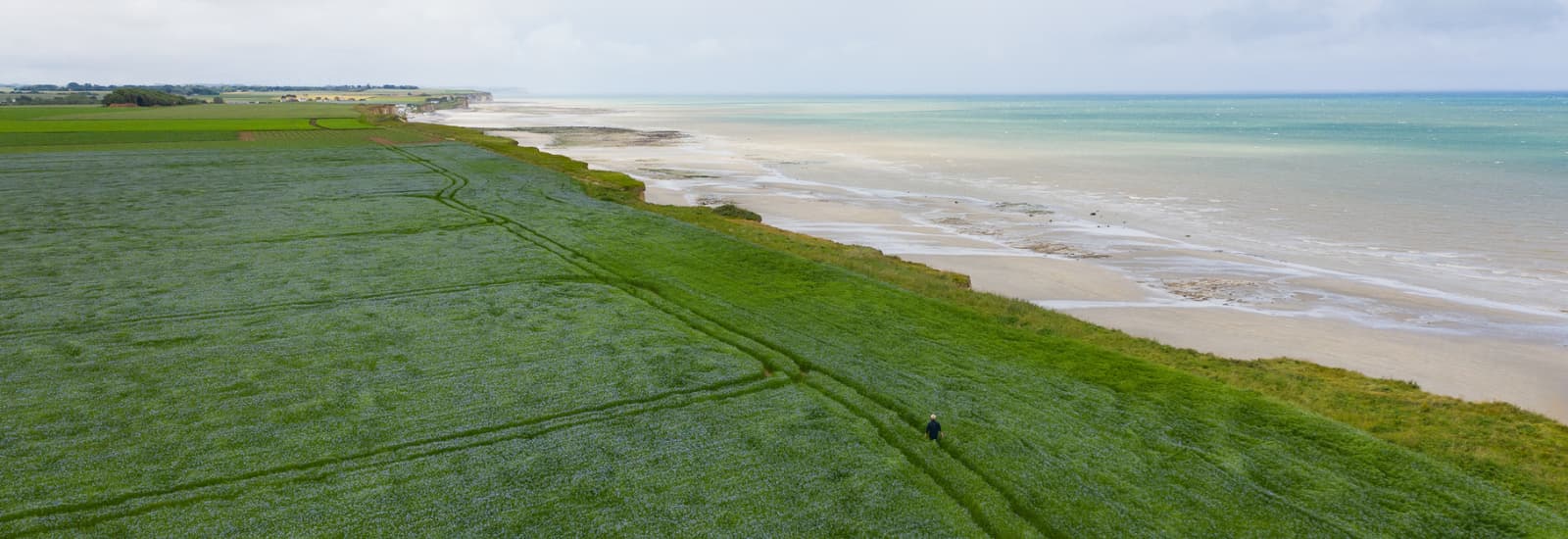 champ de lin du fonds explore interreg adapto