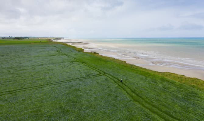 champ de lin du fonds explore interreg adapto