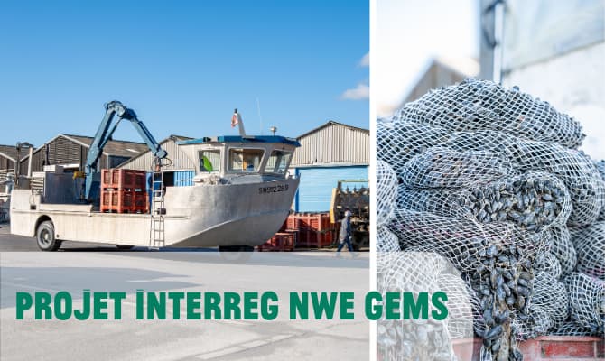 article interreg nwe gems